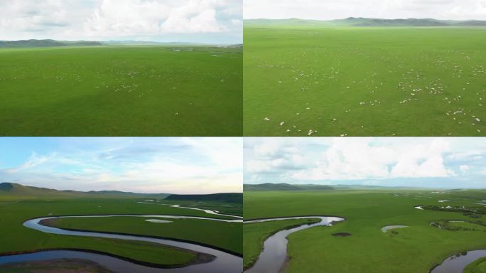 草原 大片羊群 河流曲折美景