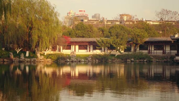 宁波月湖公园 日常  江南水乡 古建筑