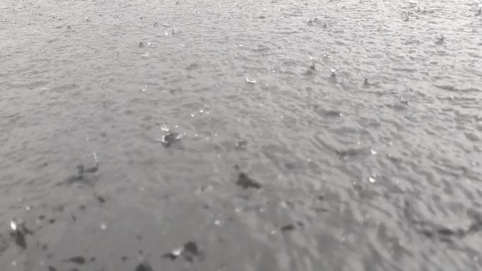雨滴雨淋水波纹水面水珠下雨水圈圈水花飞溅