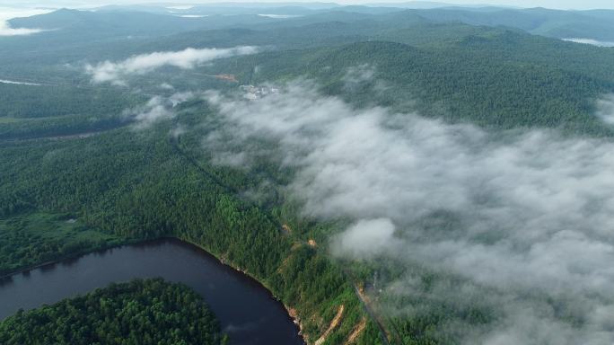 航拍大兴安岭激流河山林云雾