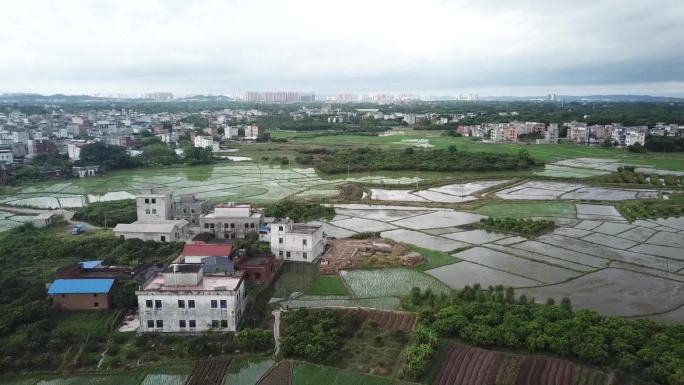 西南平原景观