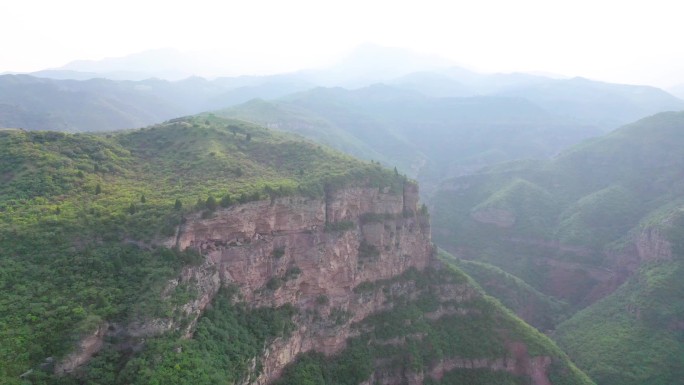 黄河流域植树造林