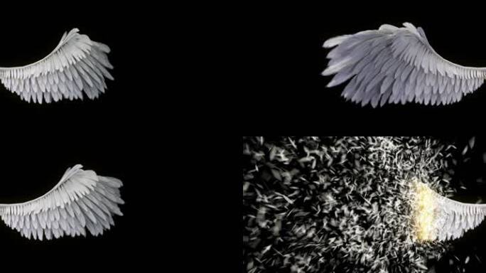 白色翅膀展开化为羽毛带通道