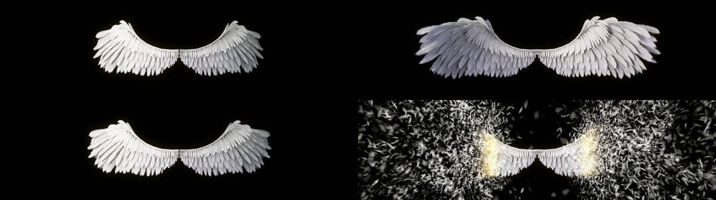 白色翅膀展开化为羽毛带通道