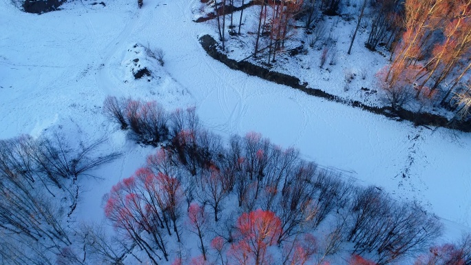 航拍冬季雪原雪河密林