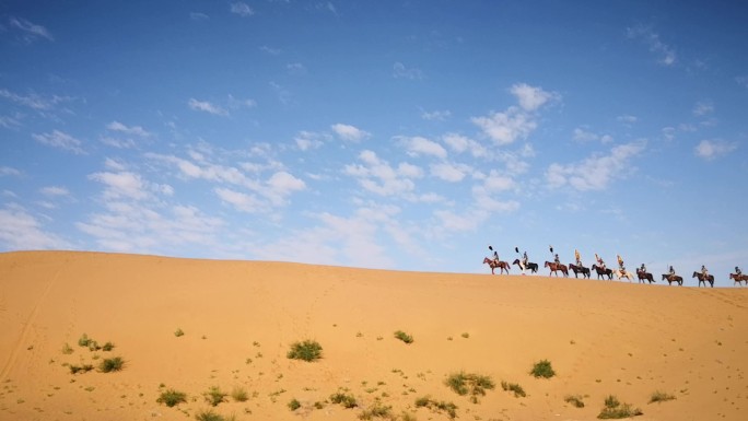 蓝天白云 白云 沙漠 骆驼