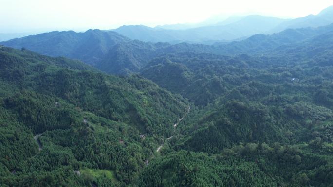 山林盘山公路横移