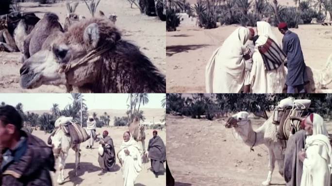60年代非洲中东骆驼商队