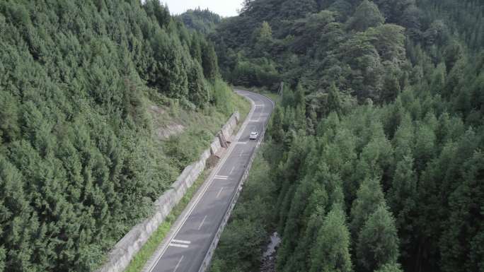 俯瞰山林蜿蜒公路白色车辆D-LOG模式