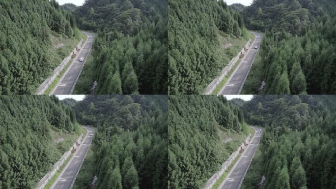 俯瞰山林蜿蜒公路白色车辆D-LOG模式