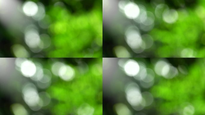 4k绿色树叶绿植光斑虚化背景9