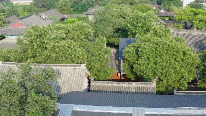 山东阳谷县狮子楼景区