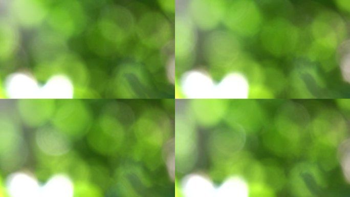 4k绿色树叶绿植光斑虚化背景6