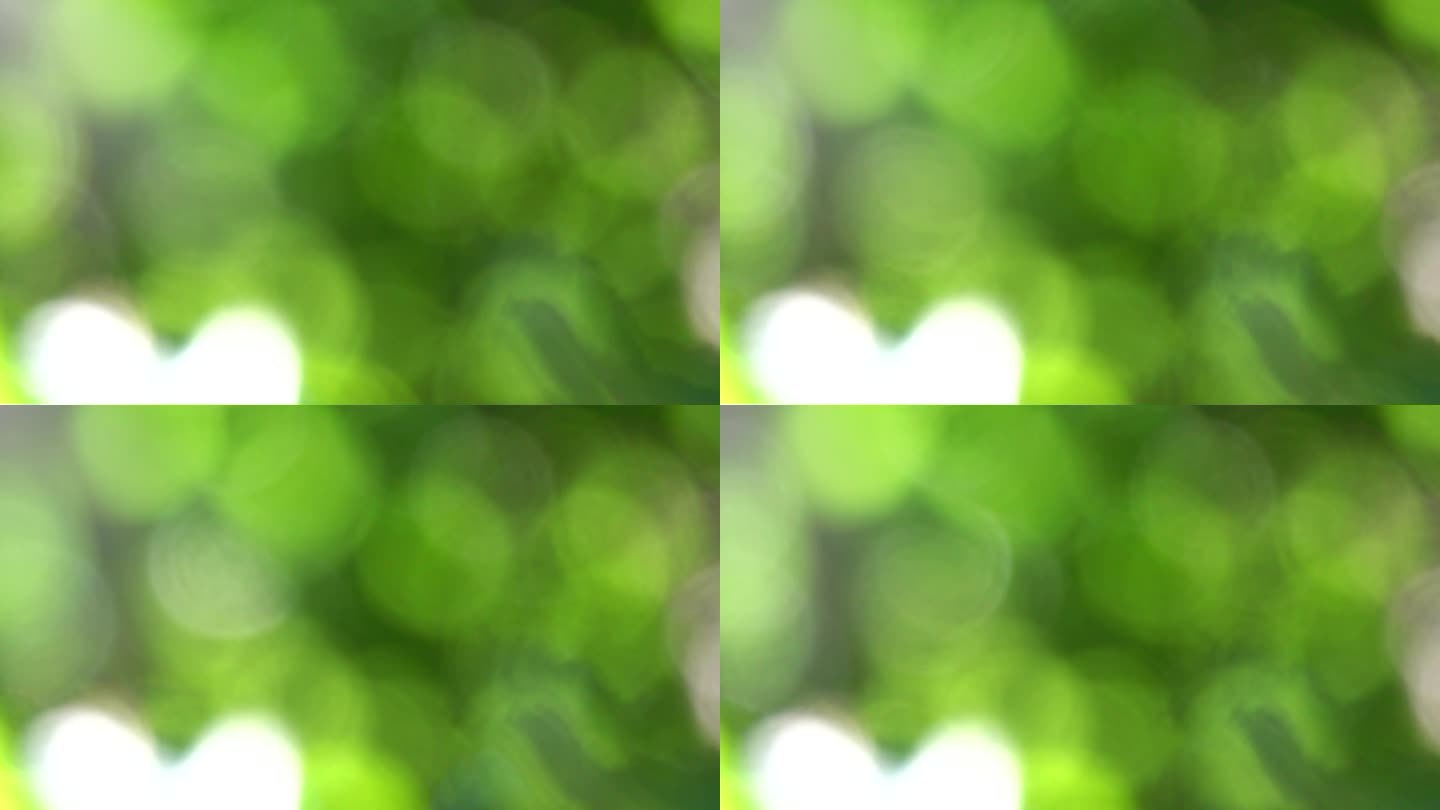 4k绿色树叶绿植光斑虚化背景6