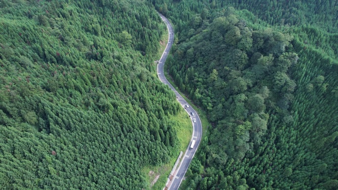 俯瞰山林盘山公路车流后飞