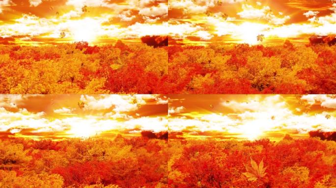 4K唯美的金秋枫树林穿梭背景素材