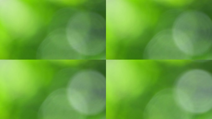 4k绿色树叶绿植光斑虚化背景5