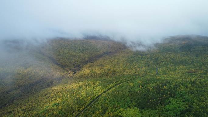 航拍秋季原始森林雨雾