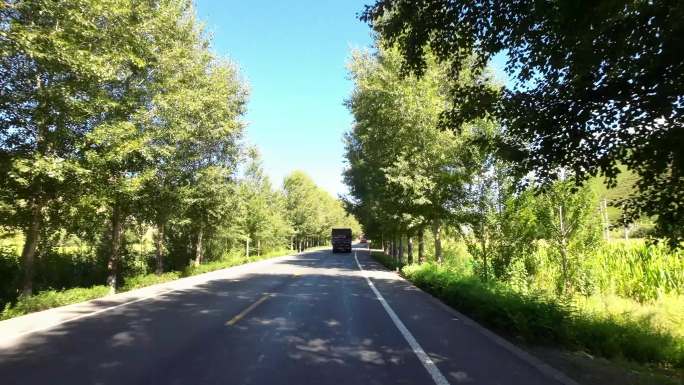 开车视角行驶在公路上  沿途风景