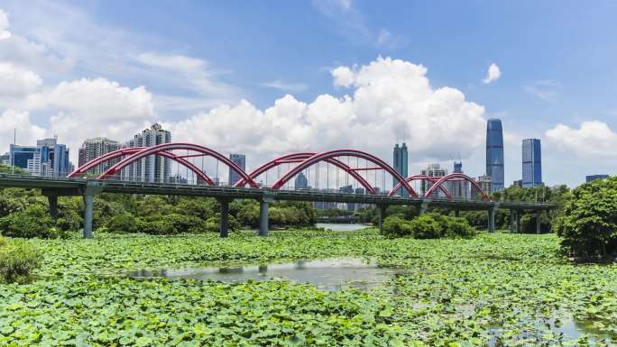 深圳罗湖洪湖公园延时