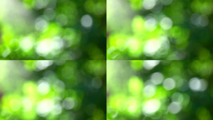 4k绿色树叶绿植光斑虚化背景3