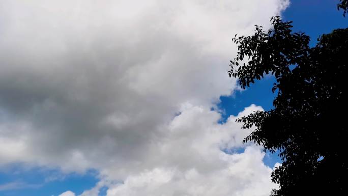 天空风云变幻视频延时摄影飞机飞过