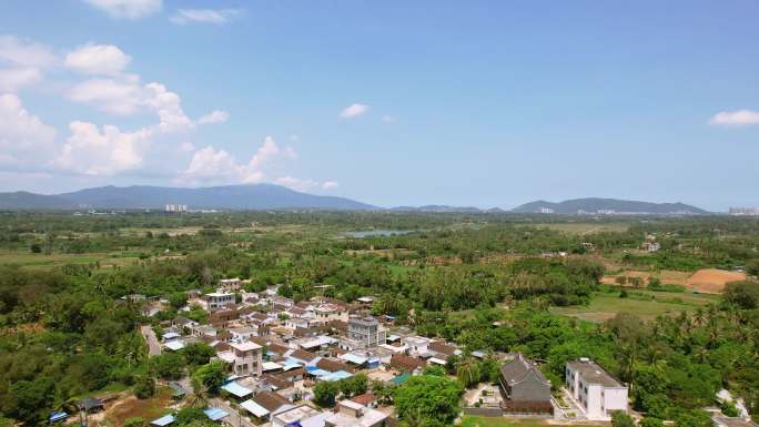 海南南繁育种基地水稻粮食田地田野乡村风光