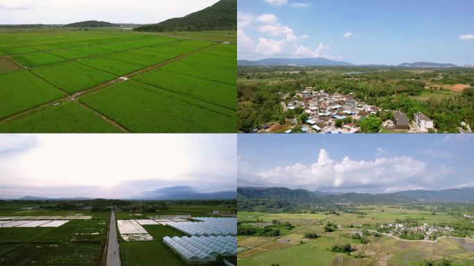 海南南繁育种基地水稻粮食田地田野乡村风光