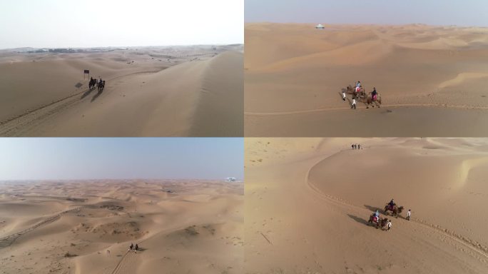 腾格里沙漠游客体验骑骆驼航拍
