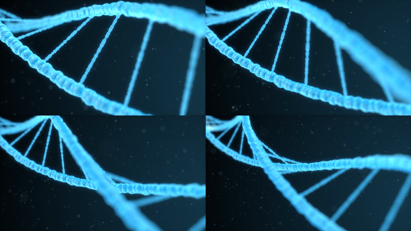 【原创】DNA动画1