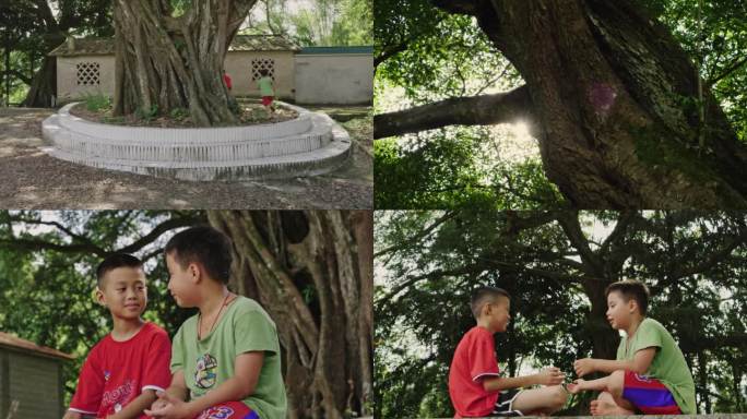 农村儿童童年的大榕树乡村生活
