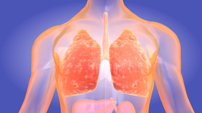 呼吸系统粘膜完全修复免疫功能得到重建免疫
