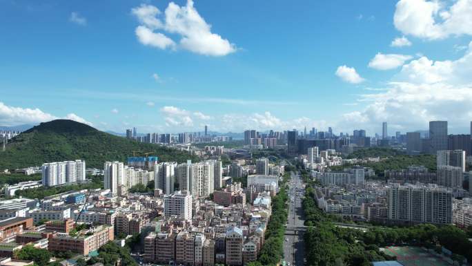 【正版素材】深圳南山区西丽