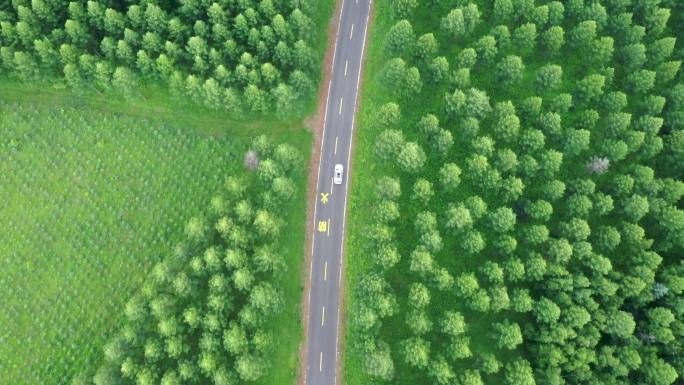 森林公路汽车航拍