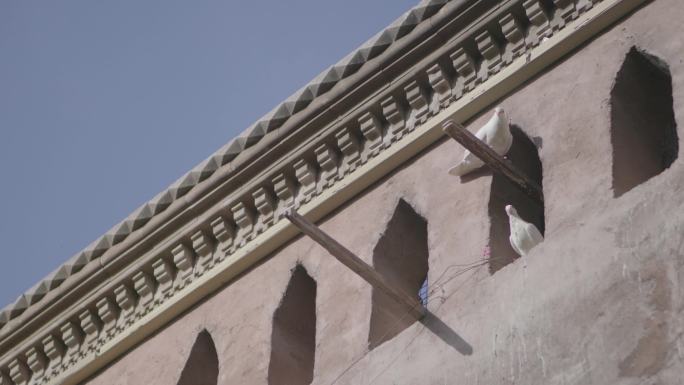 美丽喀什古城建筑与鸽子