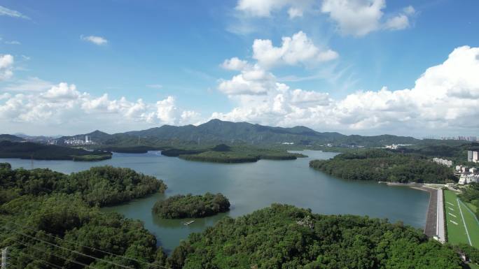 【正版素材】深圳西丽水库