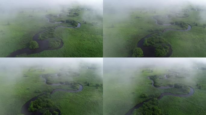 航拍晨雾中的湿地河湾