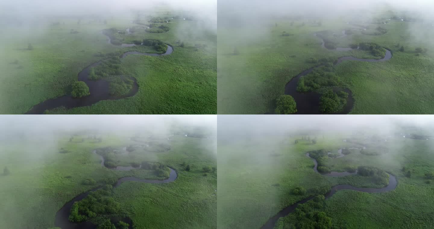 航拍晨雾中的湿地河湾