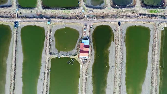 中国大型鱼类虾类水产养殖场