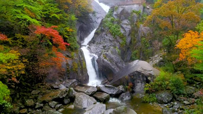 红叶溪流风光