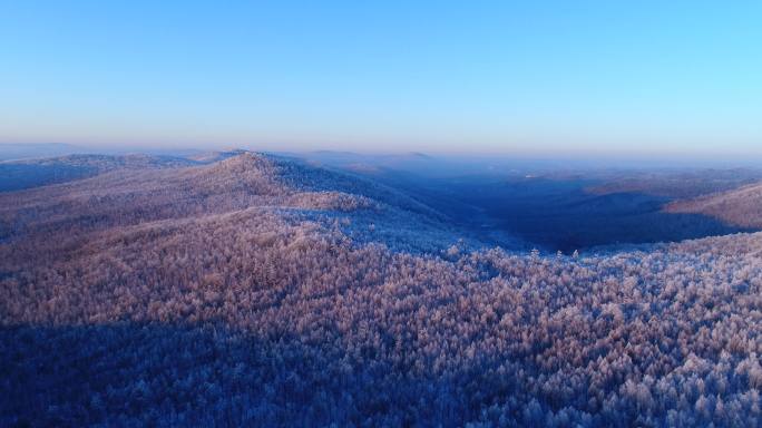 航拍大兴安岭林海雪原雾凇