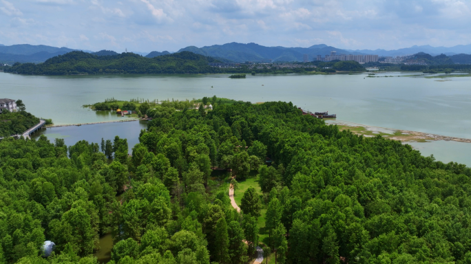 临安青山湖水上森林航拍