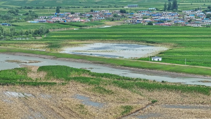 东北洪灾 辽河涨水