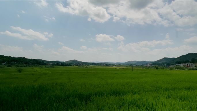 夏天乡村田野阳光延时