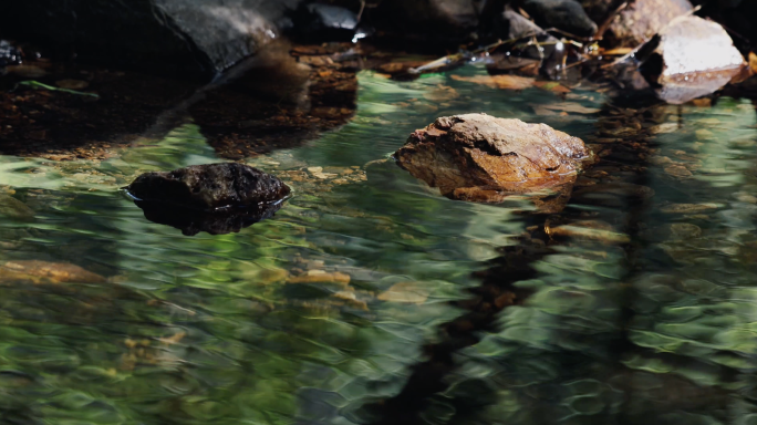 4k 清澈的小溪 溪水 山泉水 自然