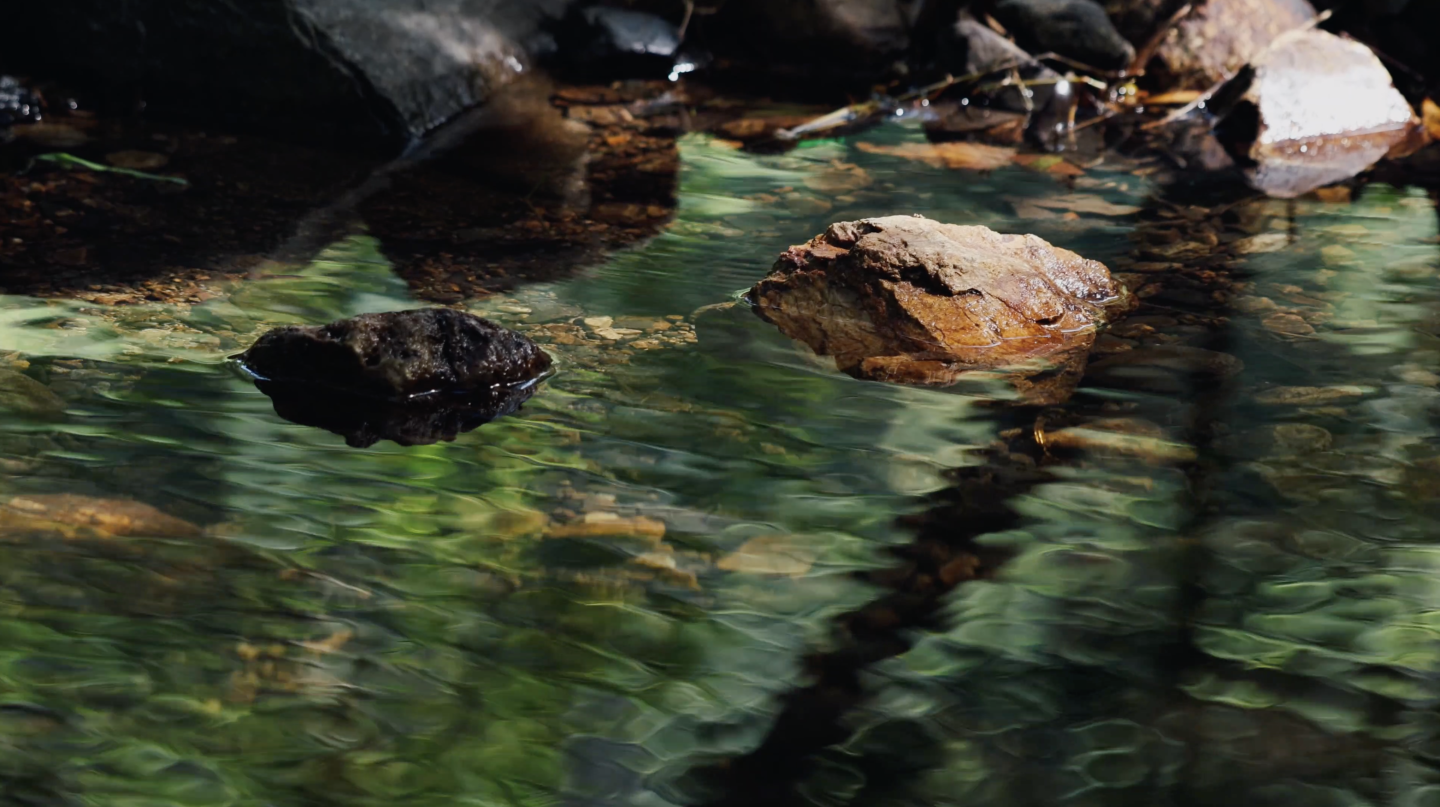 4k 清澈的小溪 溪水 山泉水 自然