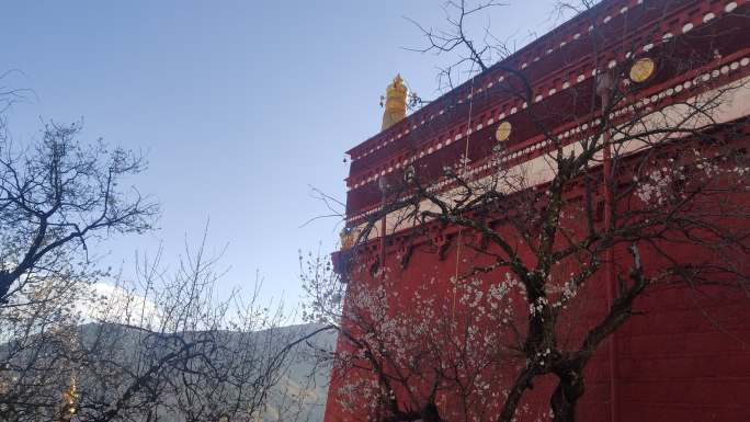 西藏藏式建筑屋檐风铃
