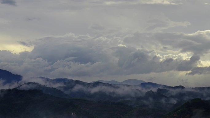 空山新雨后