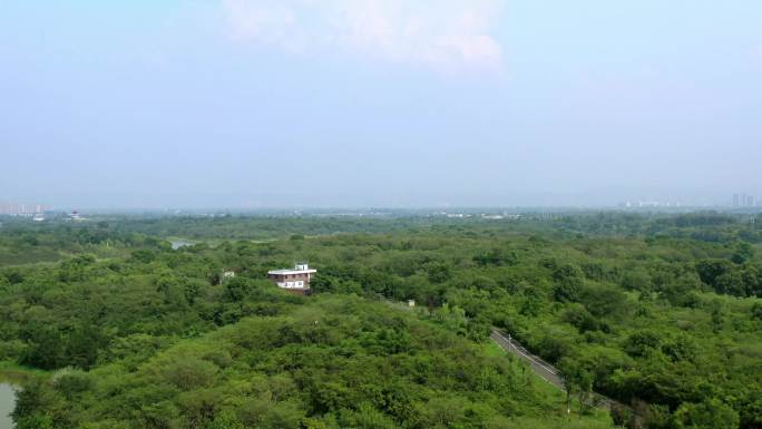 青龙湖 田野风光 自然风光 湿地公园