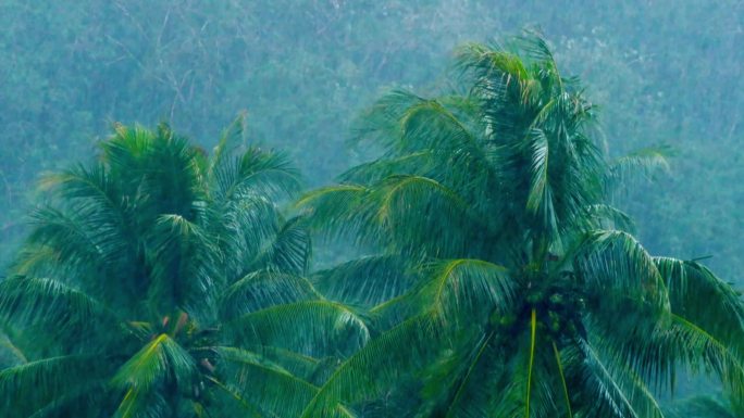 马哈拉施特拉邦普纳大雨磅礴